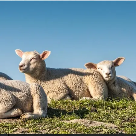 Lägenhet Am Alten Siel *