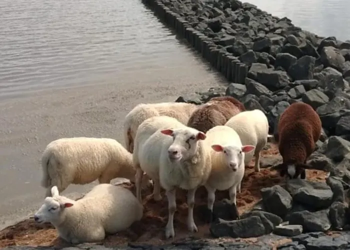 Am Alten Siel Lägenhet Wilhelmshaven